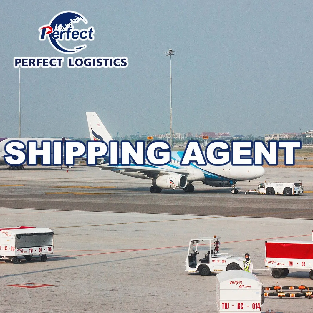 China Shipping Agent Sea Freight Air Freight au Royaume-Uni USA Espagne Canada Freight Company