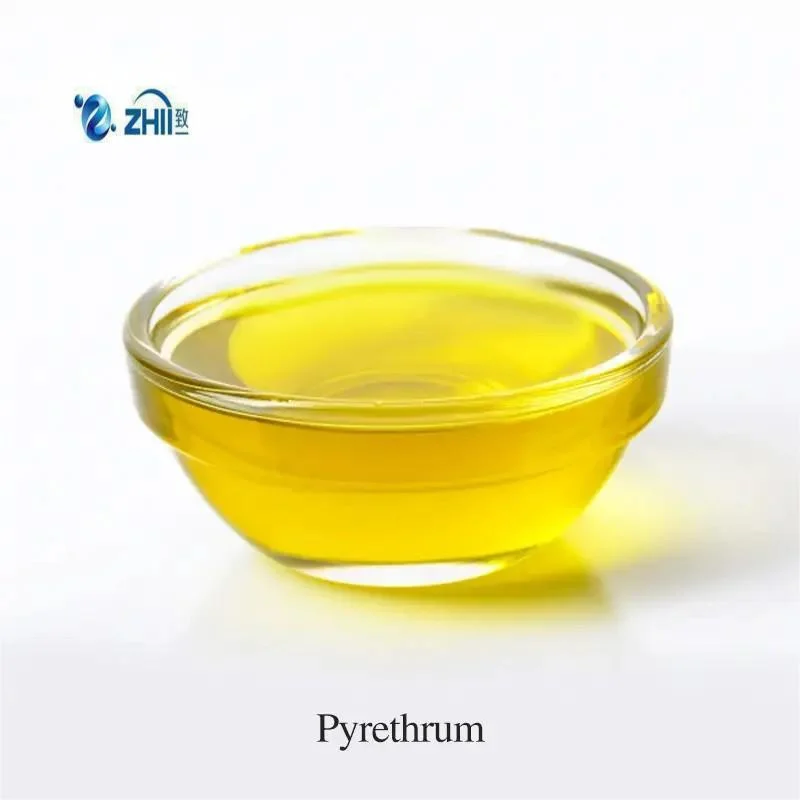 Zhii Manufacturer Supply Natural Pyrethrum Extract Pyrethrins 10%-70% CAS 8003-34-7 Pyrethrin
