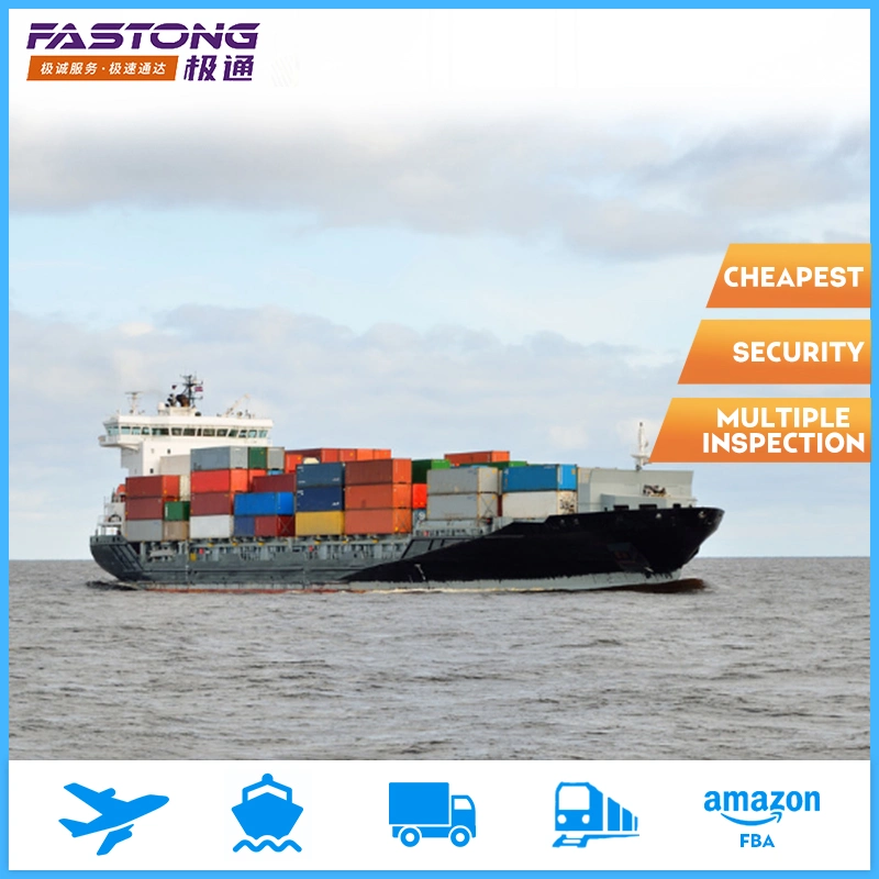 China Freight Forwarder Sea Shipping From China to India