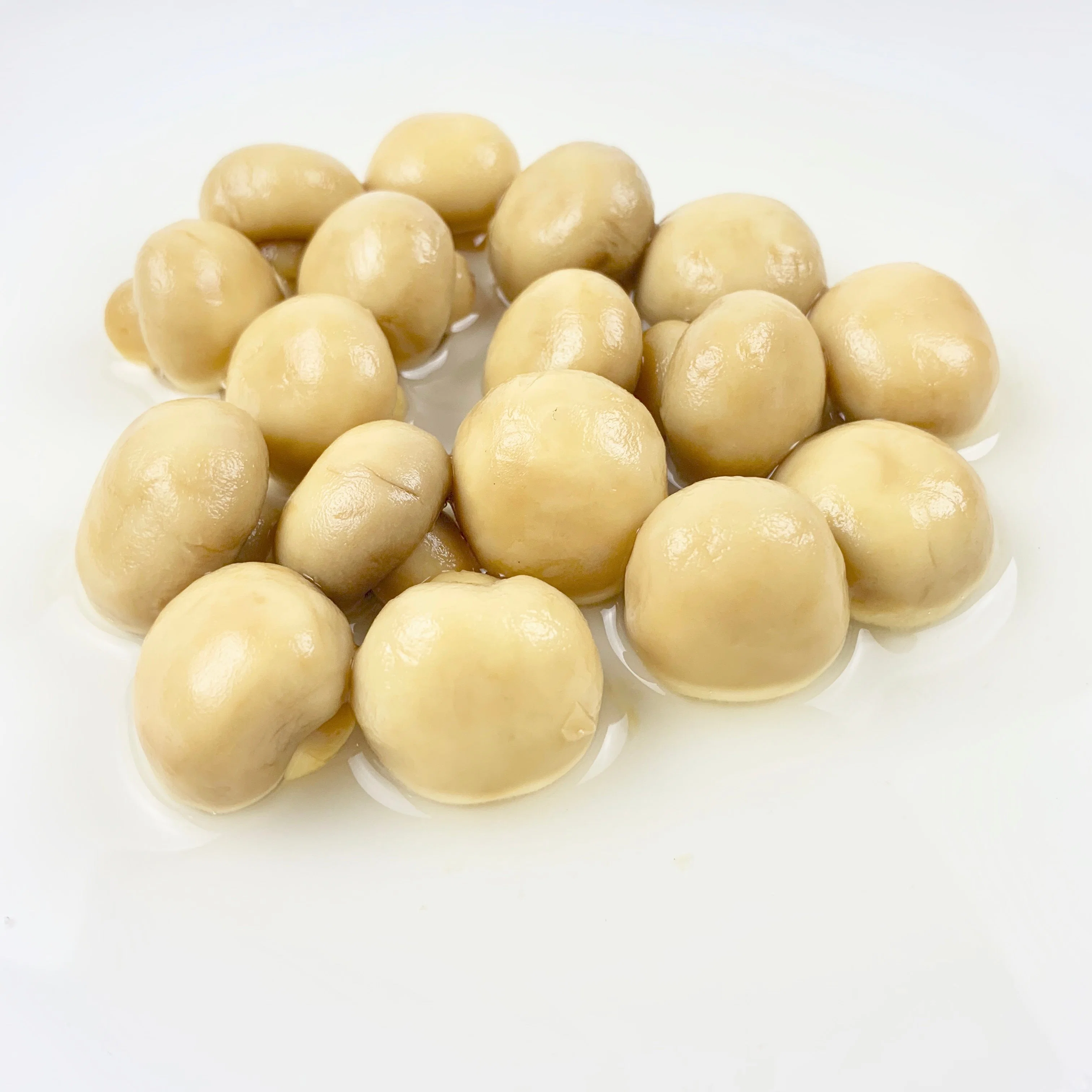 Good Quality Canned Slice Whole Mushroom in Can Food From China