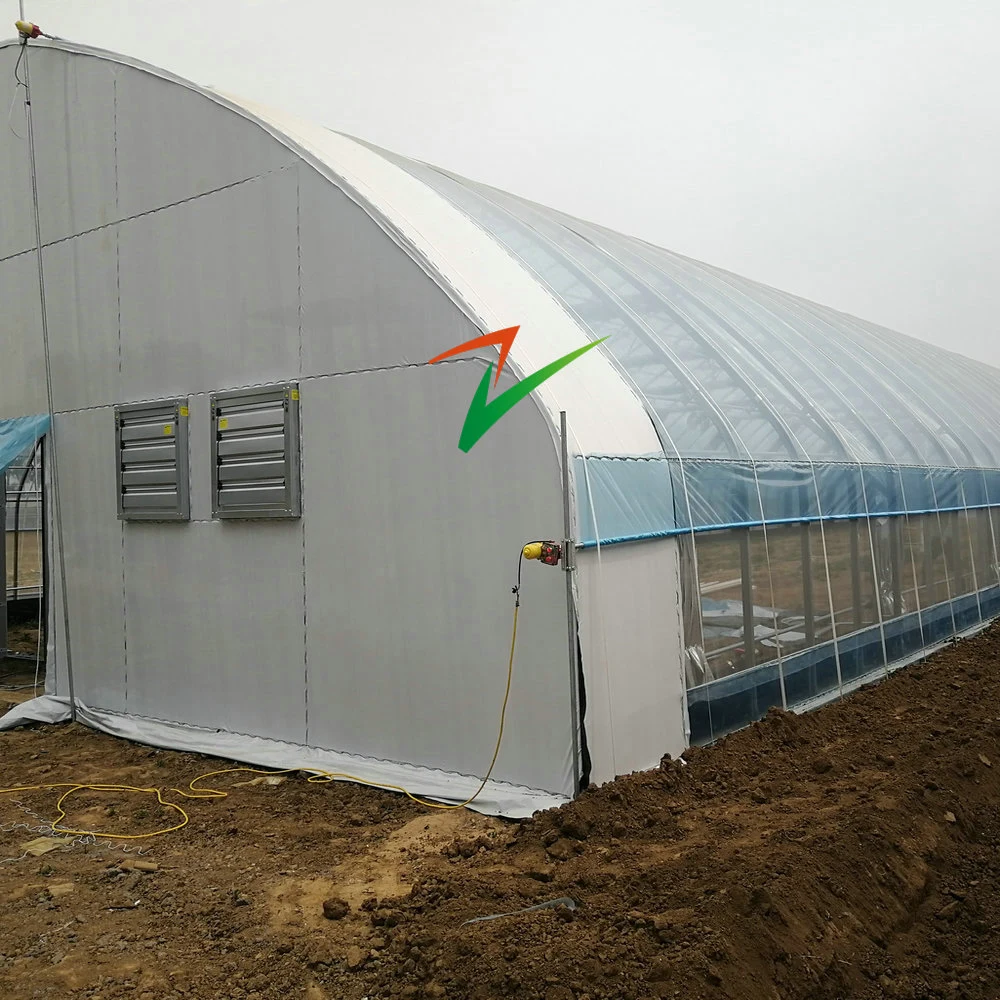 100% Automatic Blackout Light Deprivation Greenhouse Single/Multi-Span Film/ Polycarbonate PC Sheet Greenhouse