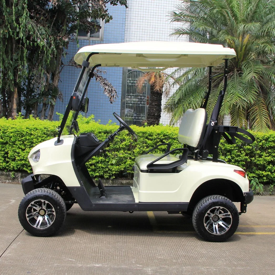 2 lugares bateria operado chumbo-ácido ou lítio Powered Golf Carro de turismo autocarro