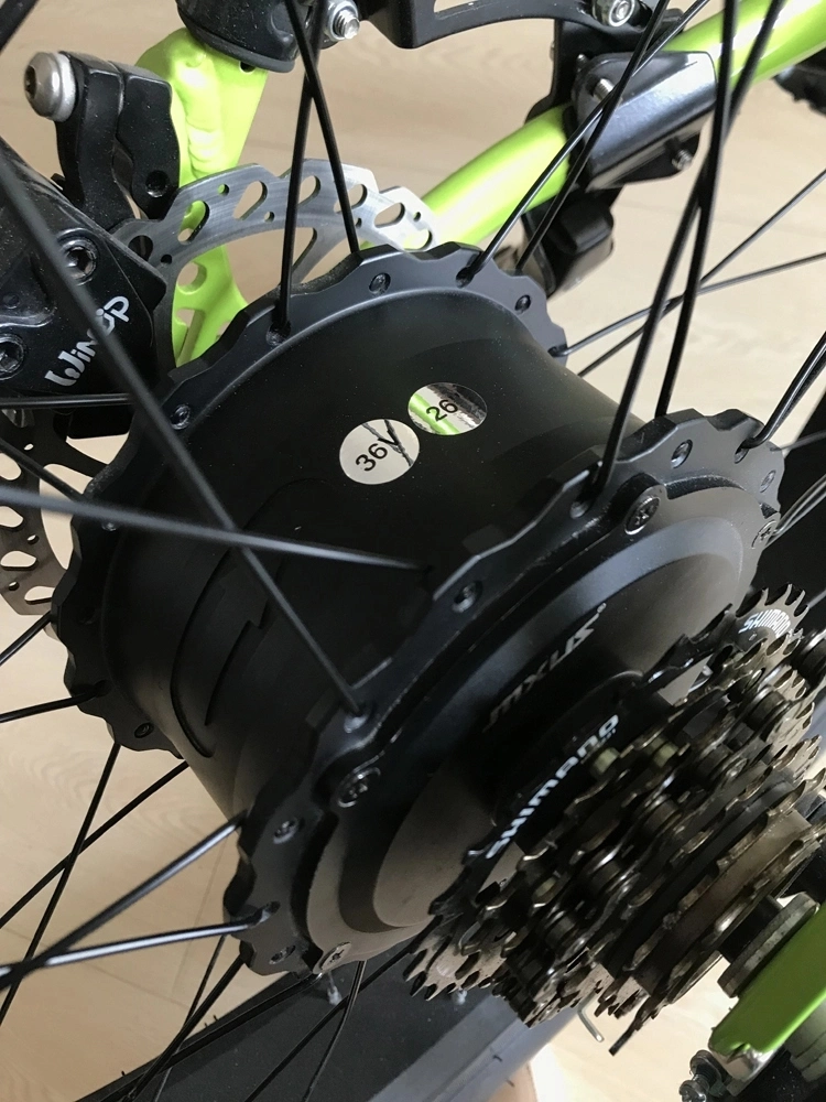 48V750W potente motor Electric Mountain Bike com pneus de gordura