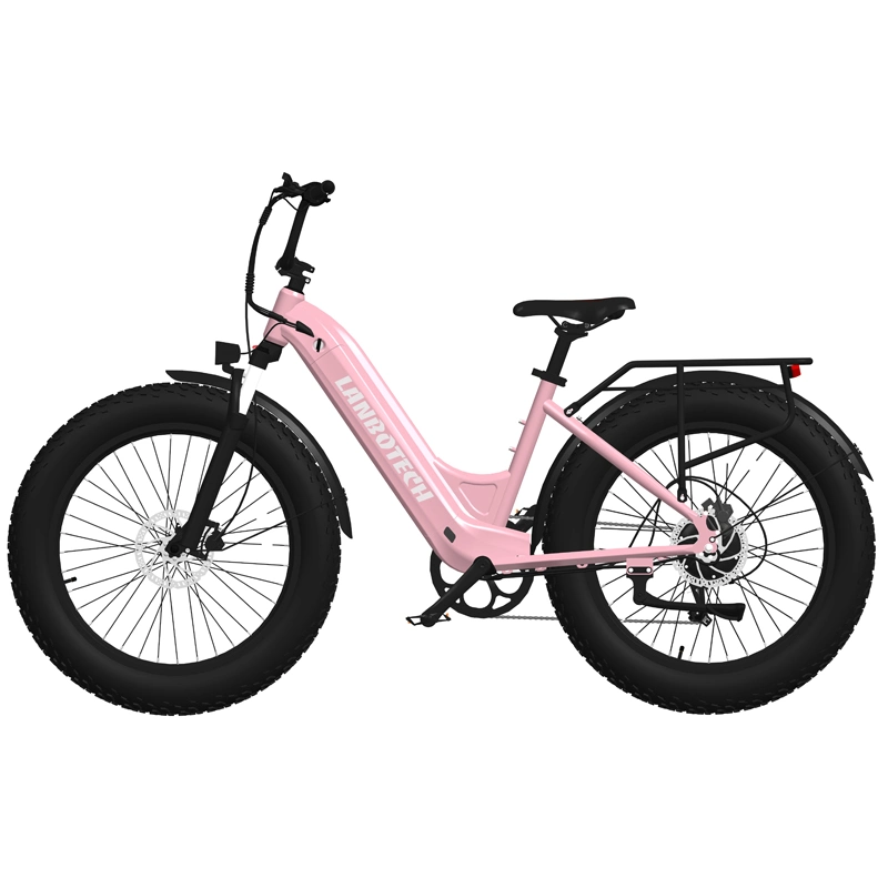 2021 New Design Step Through Fat Tire Electric Bike 5% Discount