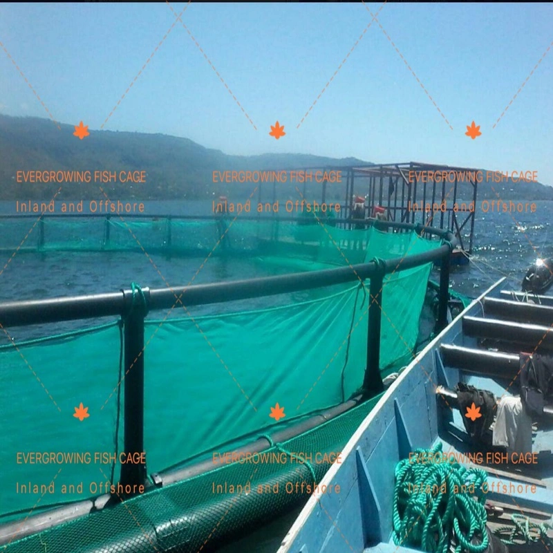 La piscicultura de HDPE de equipos para la acuicultura Jaula Flotante granja de tilapia comercial salir