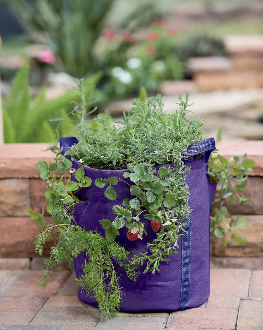 Comercio al por mayor crecimiento de la planta Bolsa de 10 Galones 1-400 Galón Resistentes bolsas para cultivar plantas