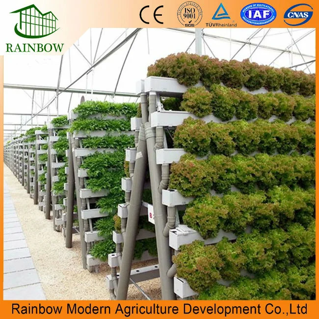 UV Resistant Multi Span Plastic Film Greenhouse for Vegetables Flowers