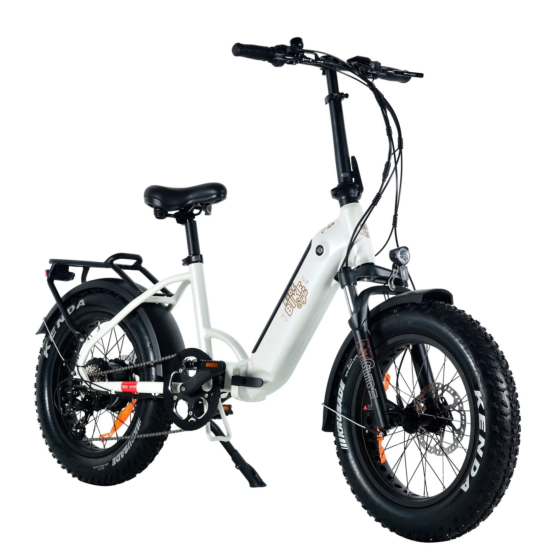 Beliebte Faltrahmen eBike 20-4,0" Fat Tire Chinesen OEM Electric Fahrrad