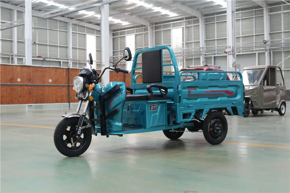 Electric Tricycle Best Safety and Popular 48/60V 1000W Three Wheeled Tricycle Cargo