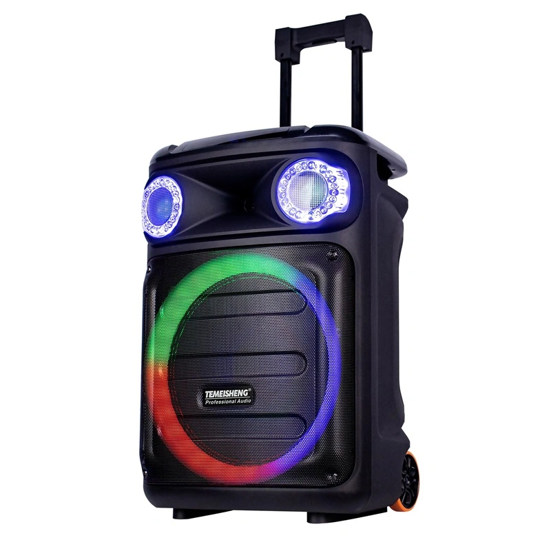 Temeisheng New Max Power 60W LED Bluetooth Audio Portable Trolley Party Speaker with Mic