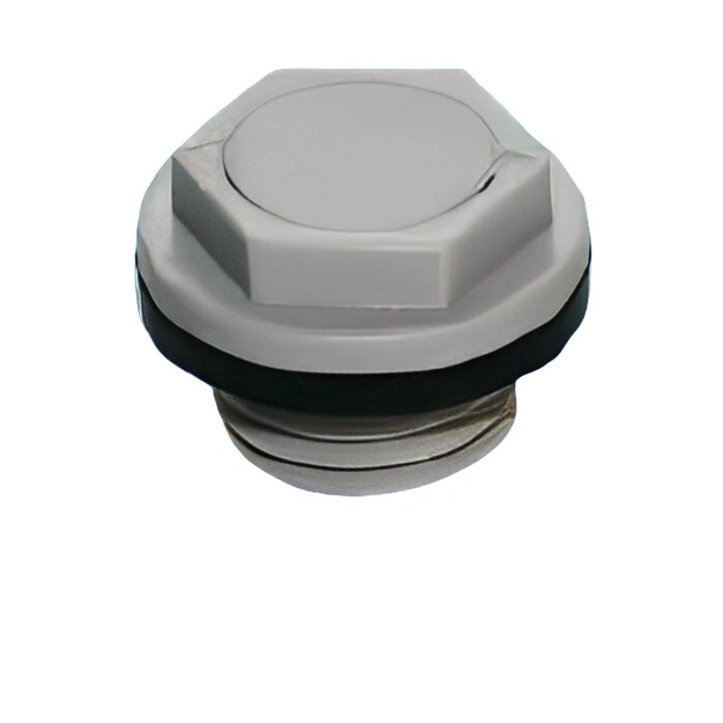 Battery Safety Valve for AGM Automotive Start and Stop (HD-307)