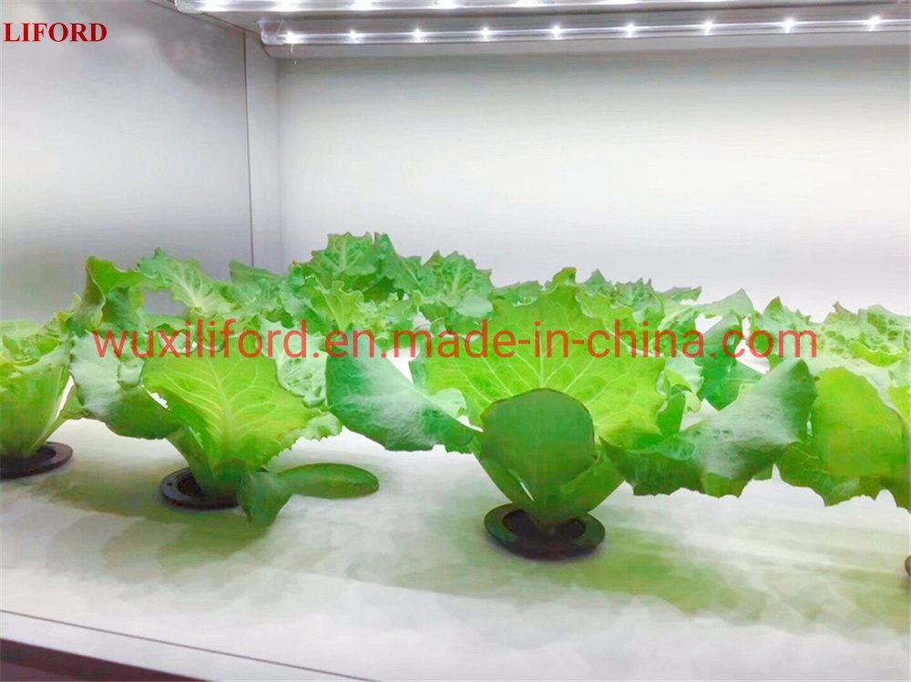 Factory Price Intelligent Home Farming Growing Hydroponics System Indoor Garden