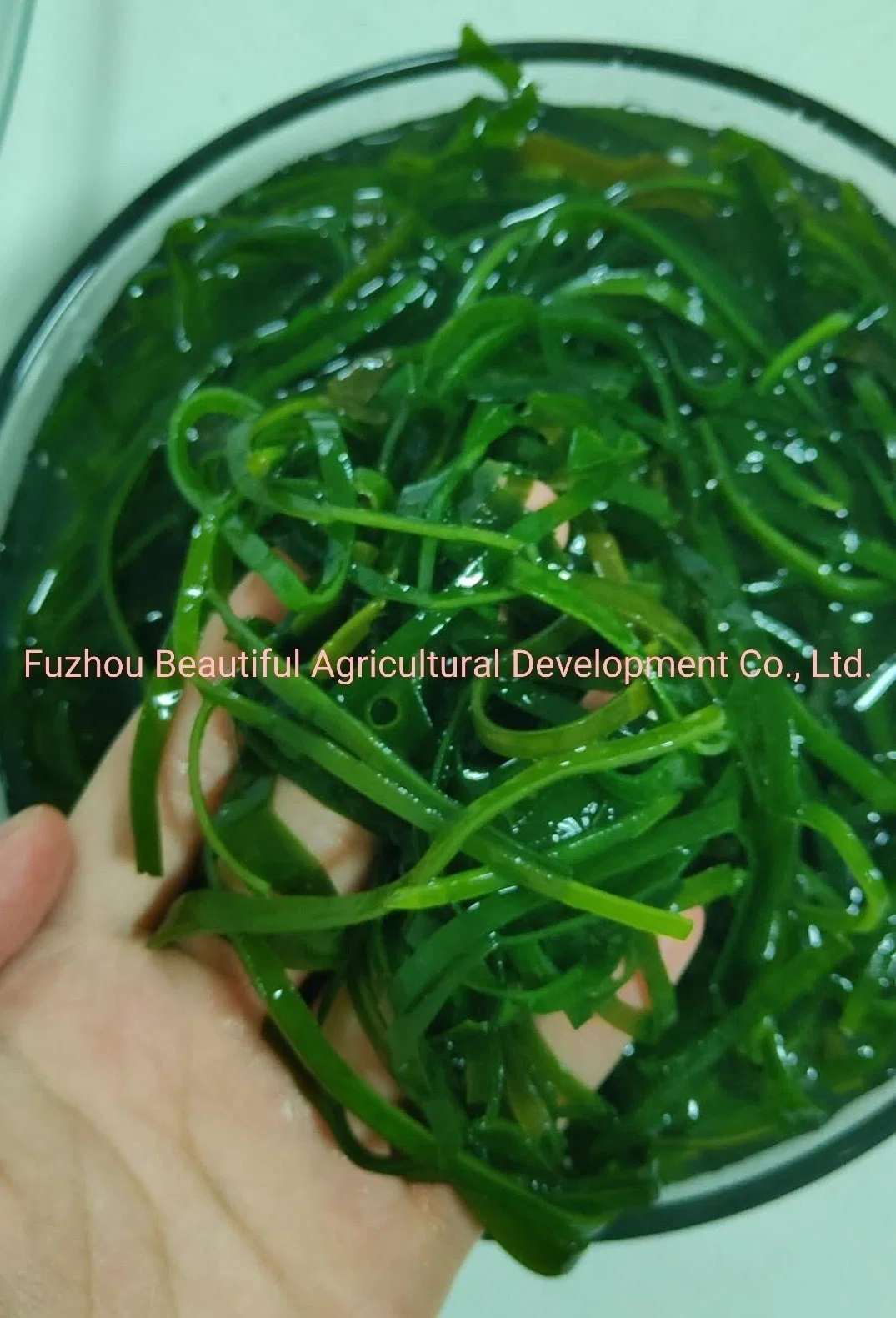 2022 New Product Dried Cooked Kelp 20g for Seaweed Salad