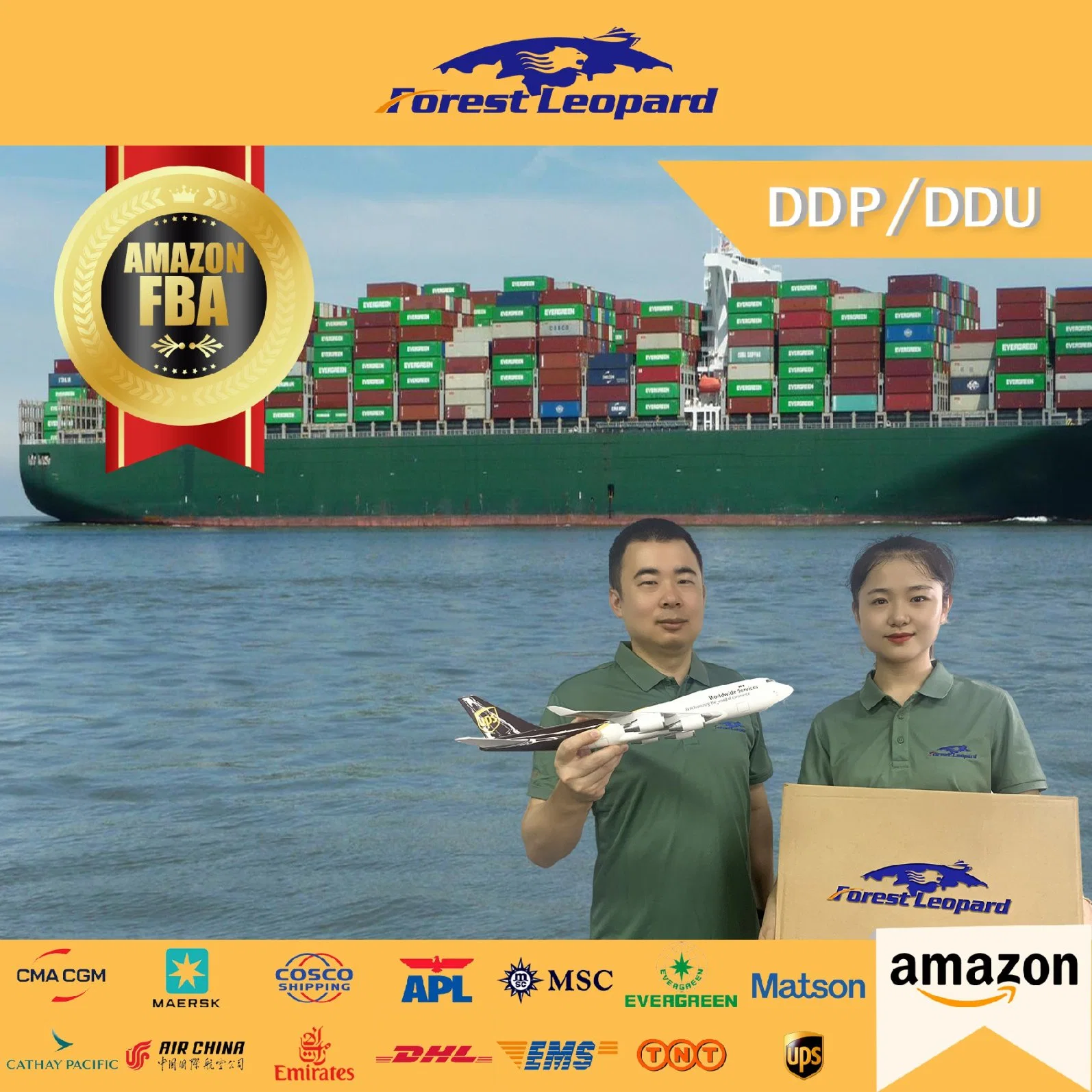 Mar profesional Frorwarder Air Freight Forwarding el envío de las empresas de transporte agente de transporte de mercancías de China los gastos de transporte