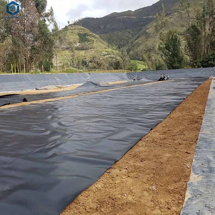 1,5 mm 2,0 mm negro forro de polietileno de geomembrana HDPE digestor de biogás en Panamá