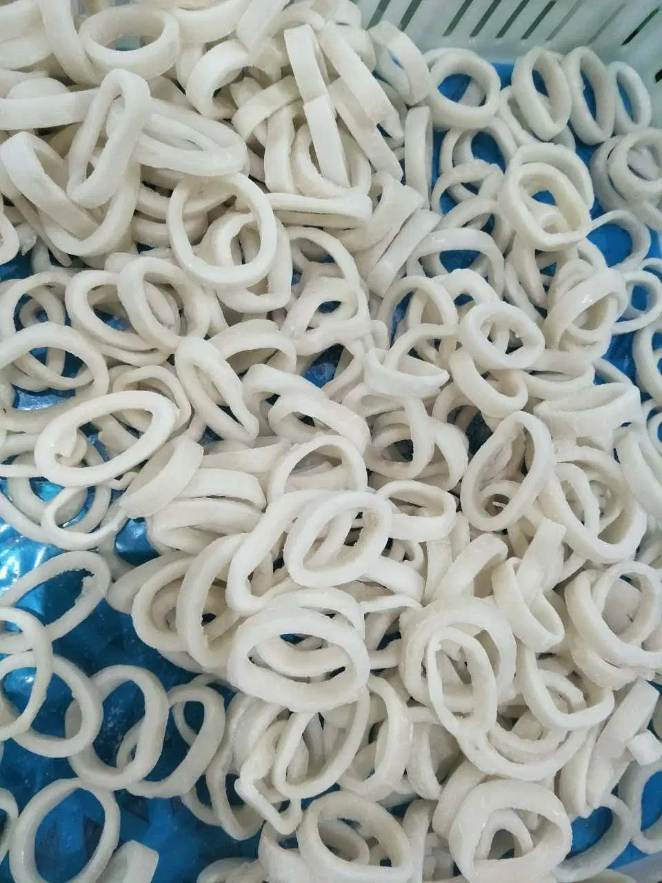 Best-Selling Cheap Price Frozen Squid Ring Wholesale/Supplier