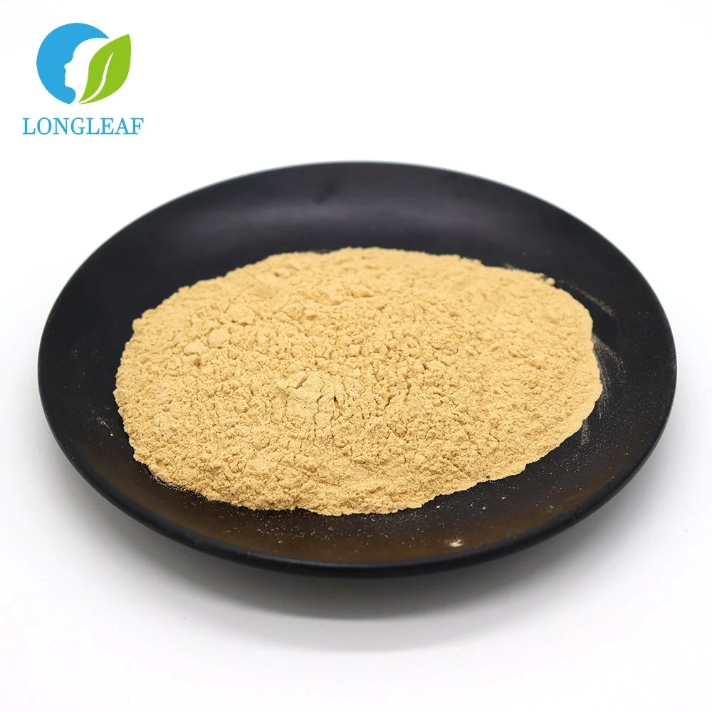 100% Natural Extract Cactus Extract Powder Natural Fat Reduction Products