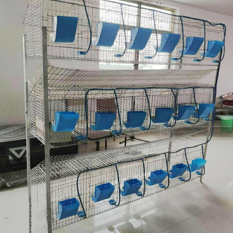 Caixa de 3 camadas para Animais em aço inoxidável Europ Rabbit Cage Interior Armário grande grande