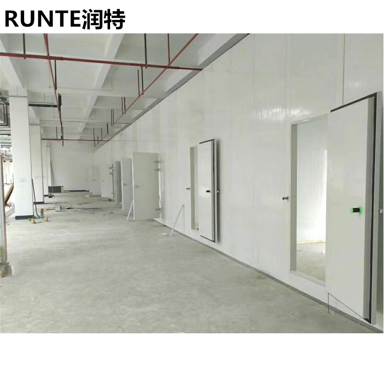 Runte Professional Design Cold Room Storage Refrigeration Equipment for Supermarket