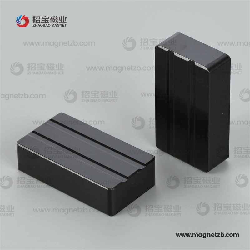 Neodymium Special Magnet Strong NdFeB with Epoxy Coating Neo Manufacturer for Motor