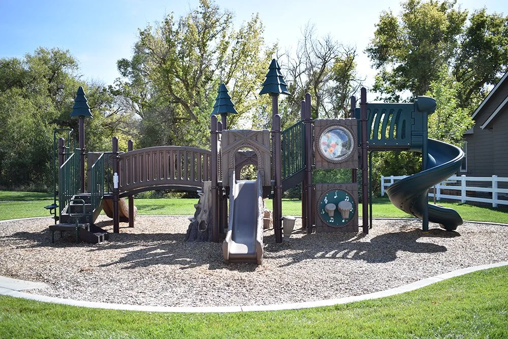 Los niños Playground parque de diversiones al aire libre equipos (NL-04001)