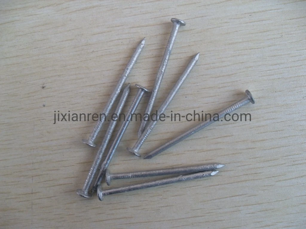 16D (2-1/2") Hot Dipped Galvanized Box Nails