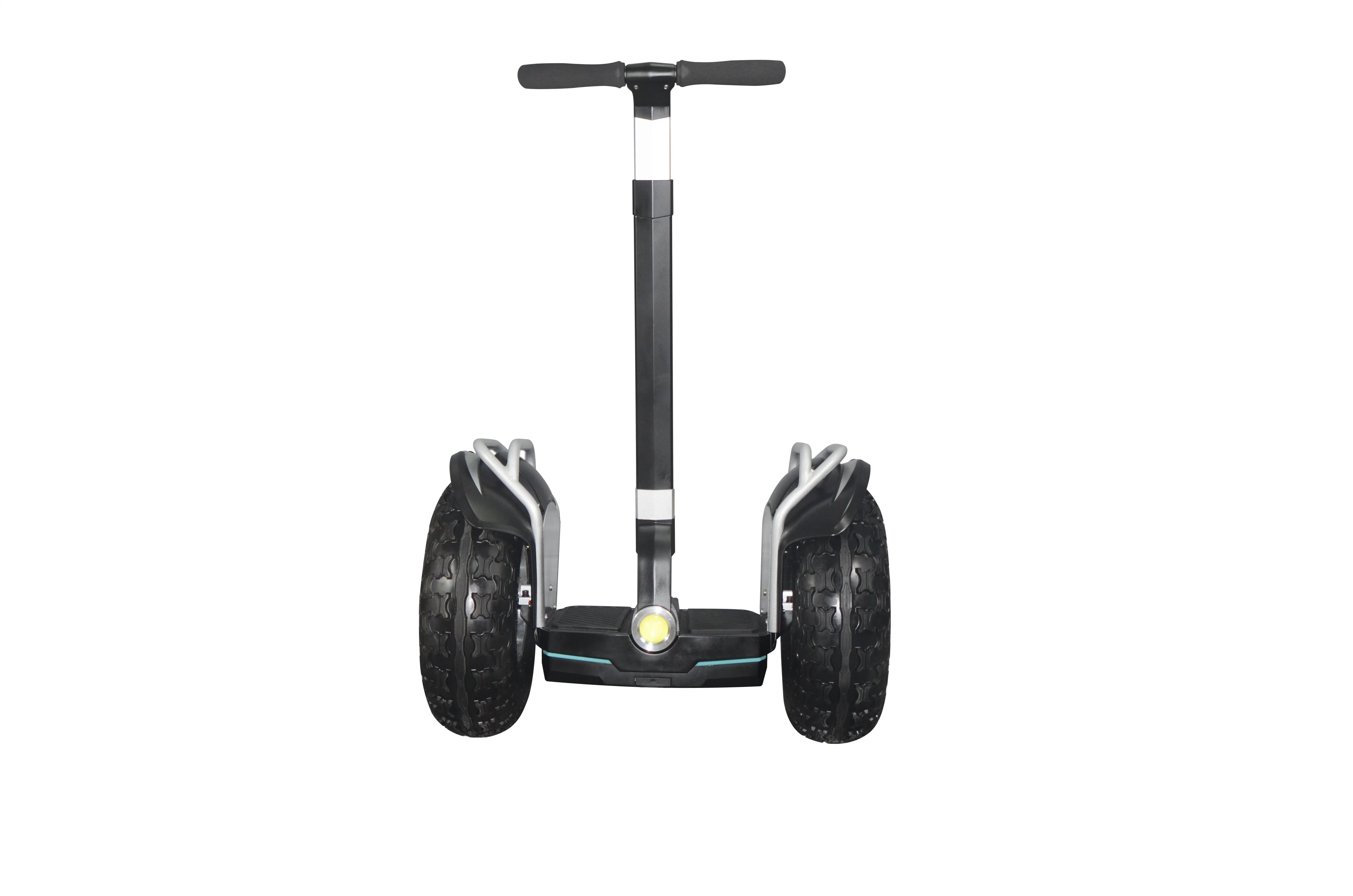 China Cheap Waterproof Standing Self Balancing E Scooter Electric Golf Scooter