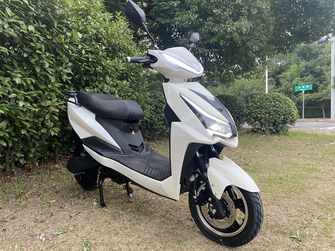 China Manufacturer High Speed Cheap EEC Electric Scooter