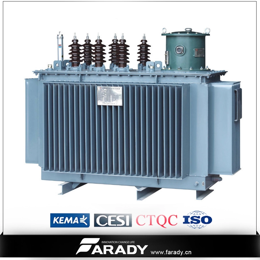 Isolation 3 Phase Oil Immersed Step Down Transformer 800kVA