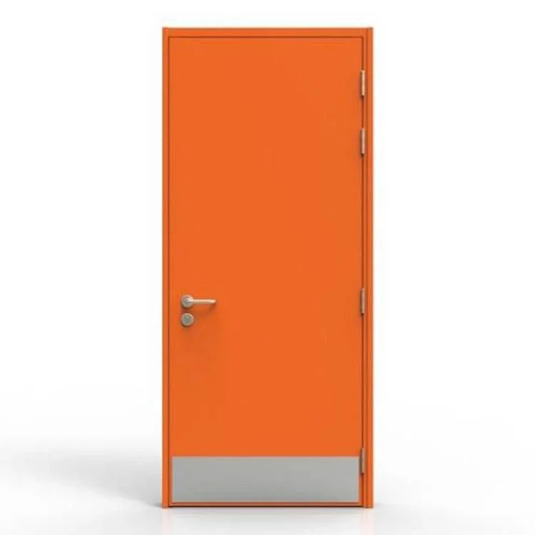 Flush Design Fireproof Steel Door School Classroom Fire Rated Smoke Control Doors with Ral Colors