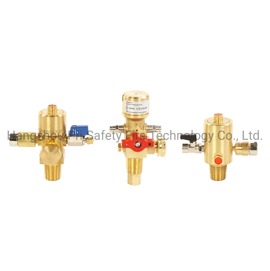 Dhp CO2 Valve for Egypt Market