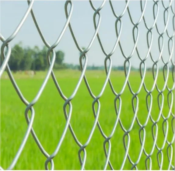 High Tensile Diamond Mesh Fence PVC Chain Link Zoo Mesh