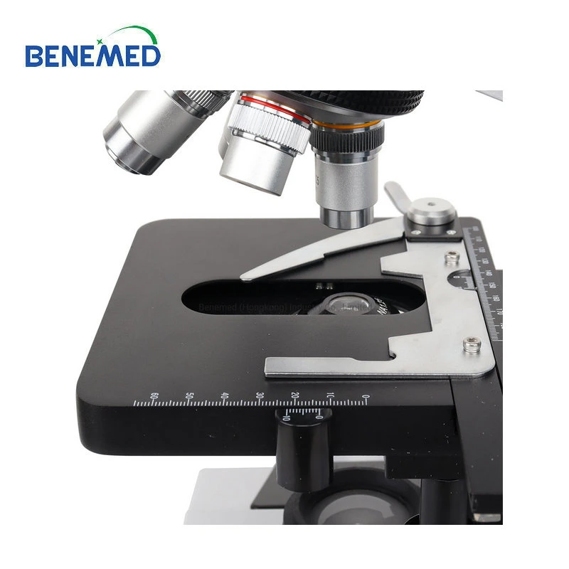 Hot Sale Factory Price Laboratory Binocular Microscope