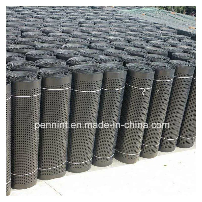 Dimpled Plastic Drainage Board Earthwork PVC Draining Sheet