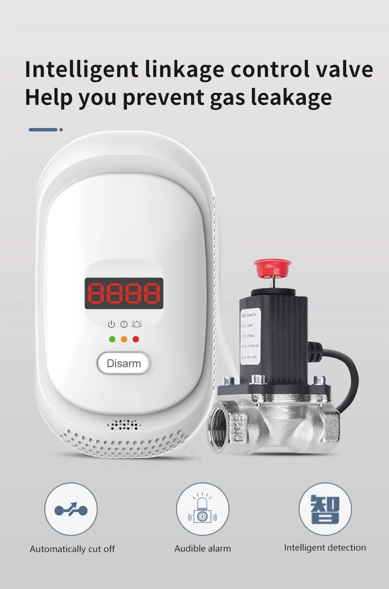 2 in 1 Gas Detector, Plug-in Home Natural Gas/Methane/Propane/Co Alarm, Leak Sensor Detector with Voice and LED Display