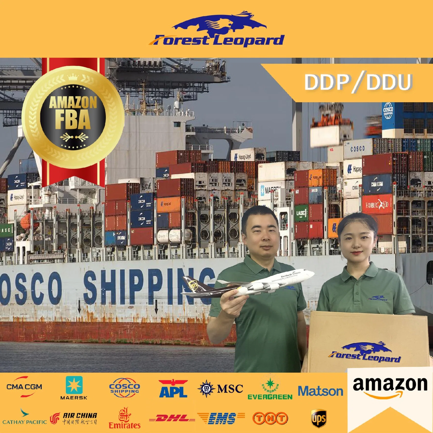 Seefracht Reedereien Tür zu Tür Service China zu USA UK Miami Deutschland von Shenzhen Xiamen Qingdao Shipping Agent