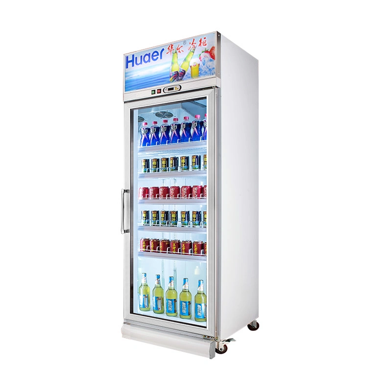 Single Door Upright Glass Door Beverage Display Refrigerator