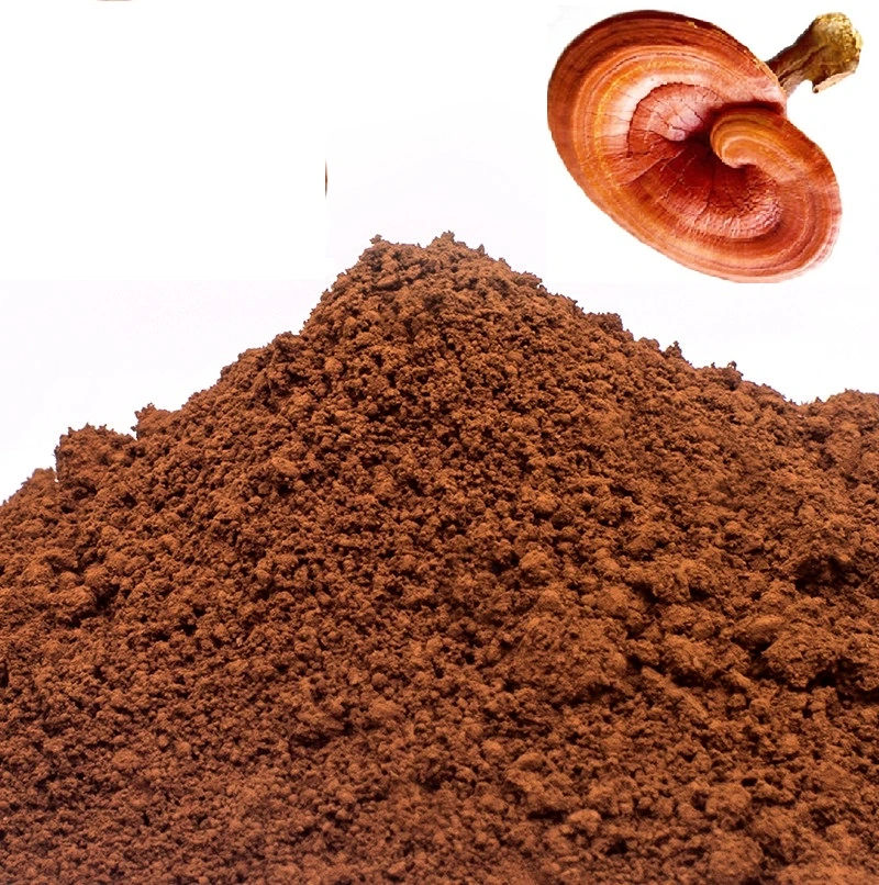 Manufacturer Organic Ganoderma Lucidum Lingzhi Reishi Mushroom Extract Spore Powder Healthcare Supplement Plant Extract