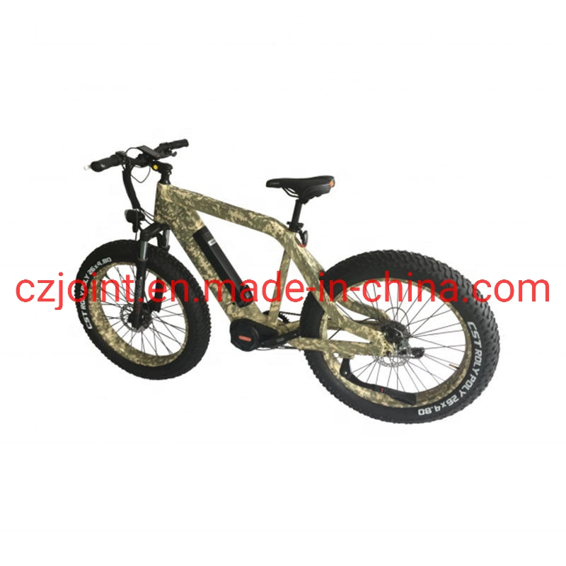 48V250W bicicleta eléctrica con batería de litio Marca OEM