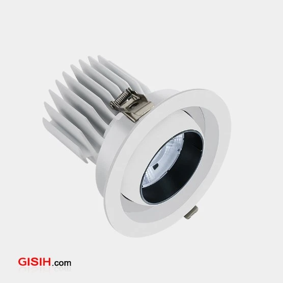 Modern Design Hot Selling COB 30W Indoor Commercial Downlight LED