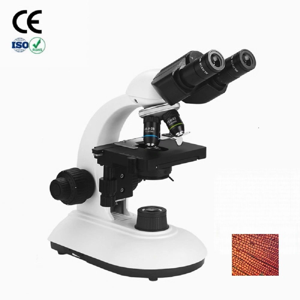 Fabricants de microscope optique de laboratoire à haute précision 40-2000X Microscopio