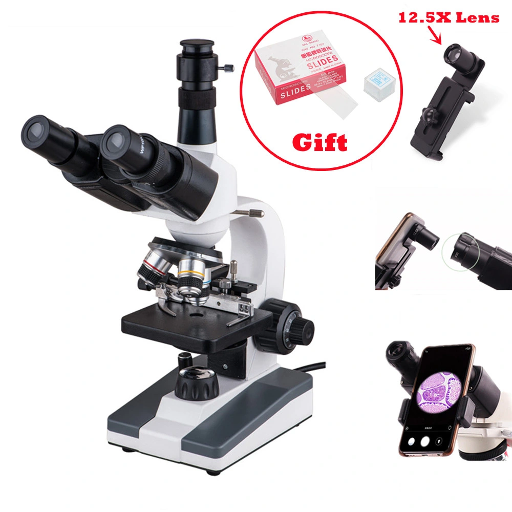 XP903 trinoculaire Microscopes biologiques pour les enfants des étudiants pour l'éducation Science Lab