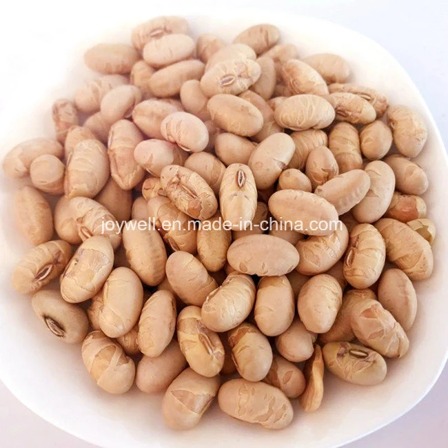 No Coloring Salted Roasted Soybean Healthy Snacks