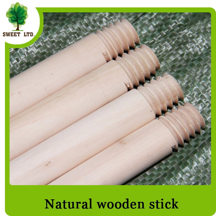 Fabricant de gros de matériel durable balayant Mop Stick Magic balai en plastique et ramasser ensemble avec manche en bois