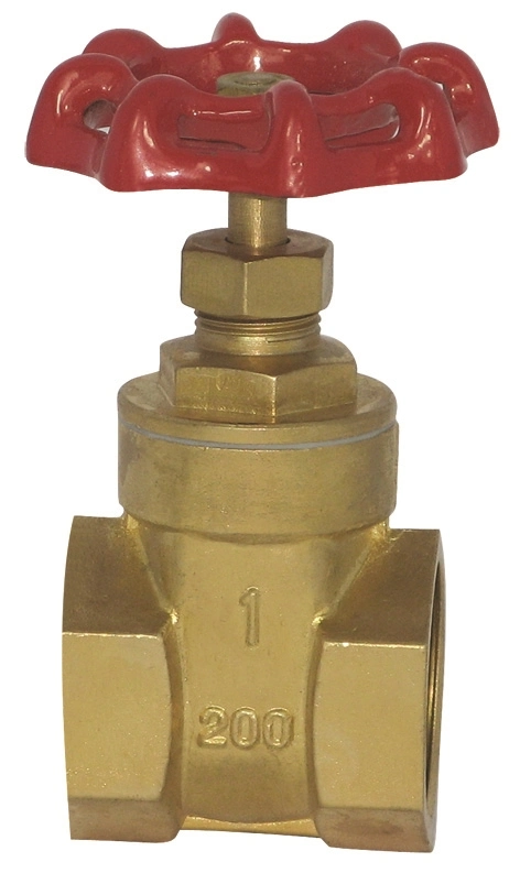 Threaded End Hand Wheel Control Pn25 Brass or Bronze or Stainless Steel Gate Valve