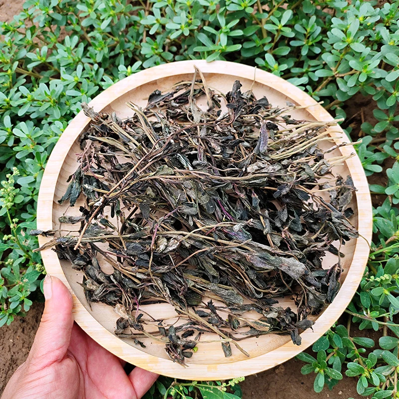 Ma Chi Xian Herbal Tea Portulaca oleracea Vente à chaud sec Parslane aux herbes