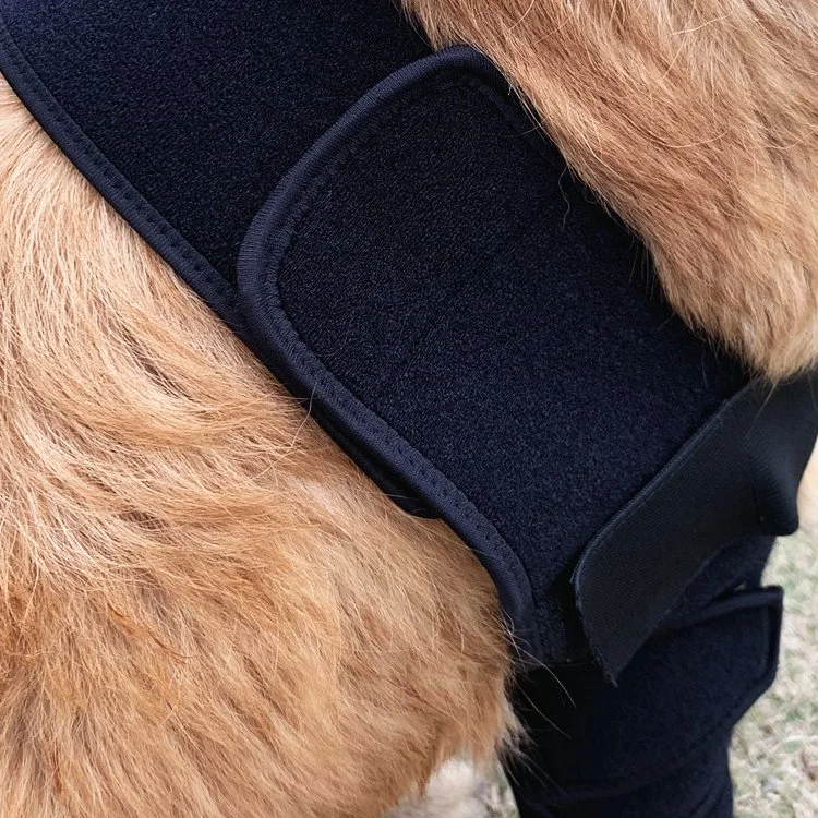 Ankle Support Brace Keen Walking Brace for Pet