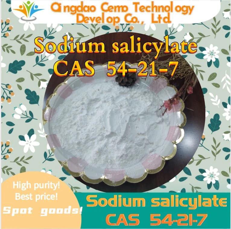 High Quality Chemicals Raw Material Sodium Salicylate CAS 54-21-7 with Low Price