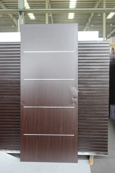 Fangda Israeli Residential Door Design Aluminium Strips Door