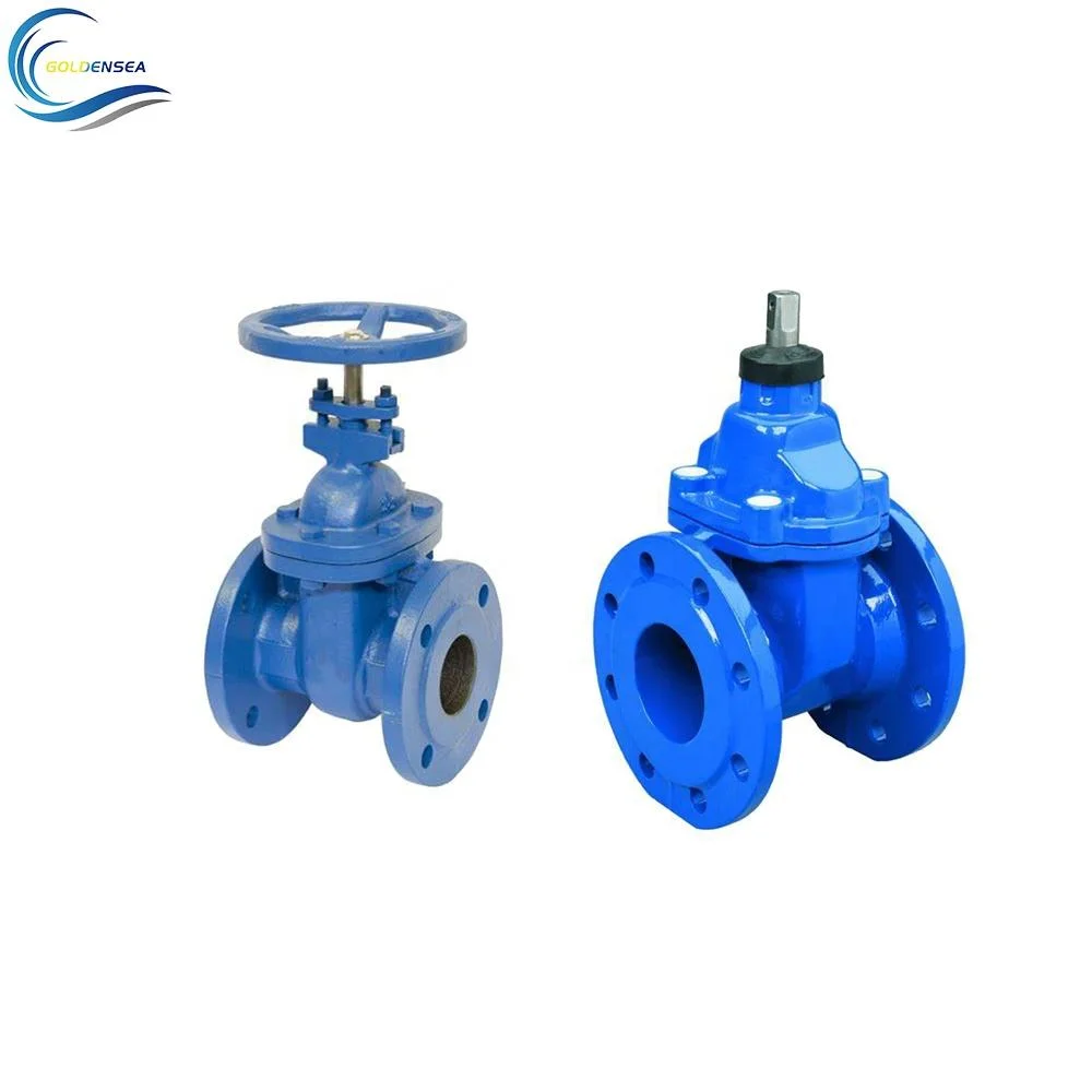 High Performance Vale Pn10 Pn16 Looks Good Flanged Gate Valve for Water